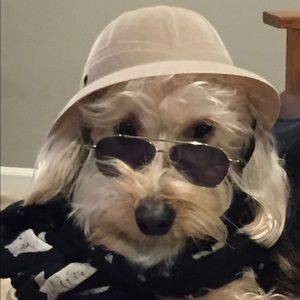 Meet your Posher, Joe